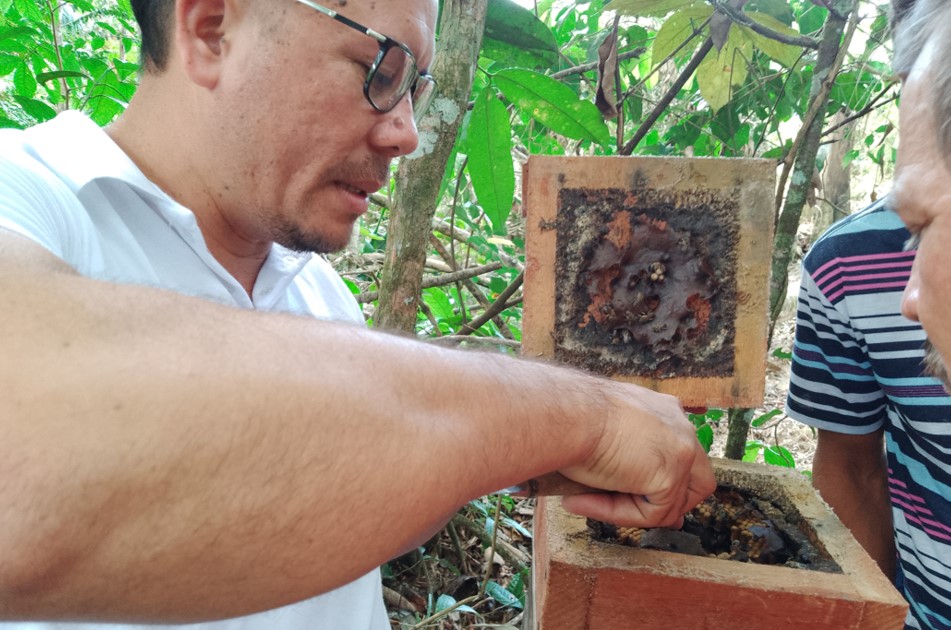 a man and a woman planting a tree