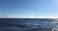 a group of wind turbines in the water