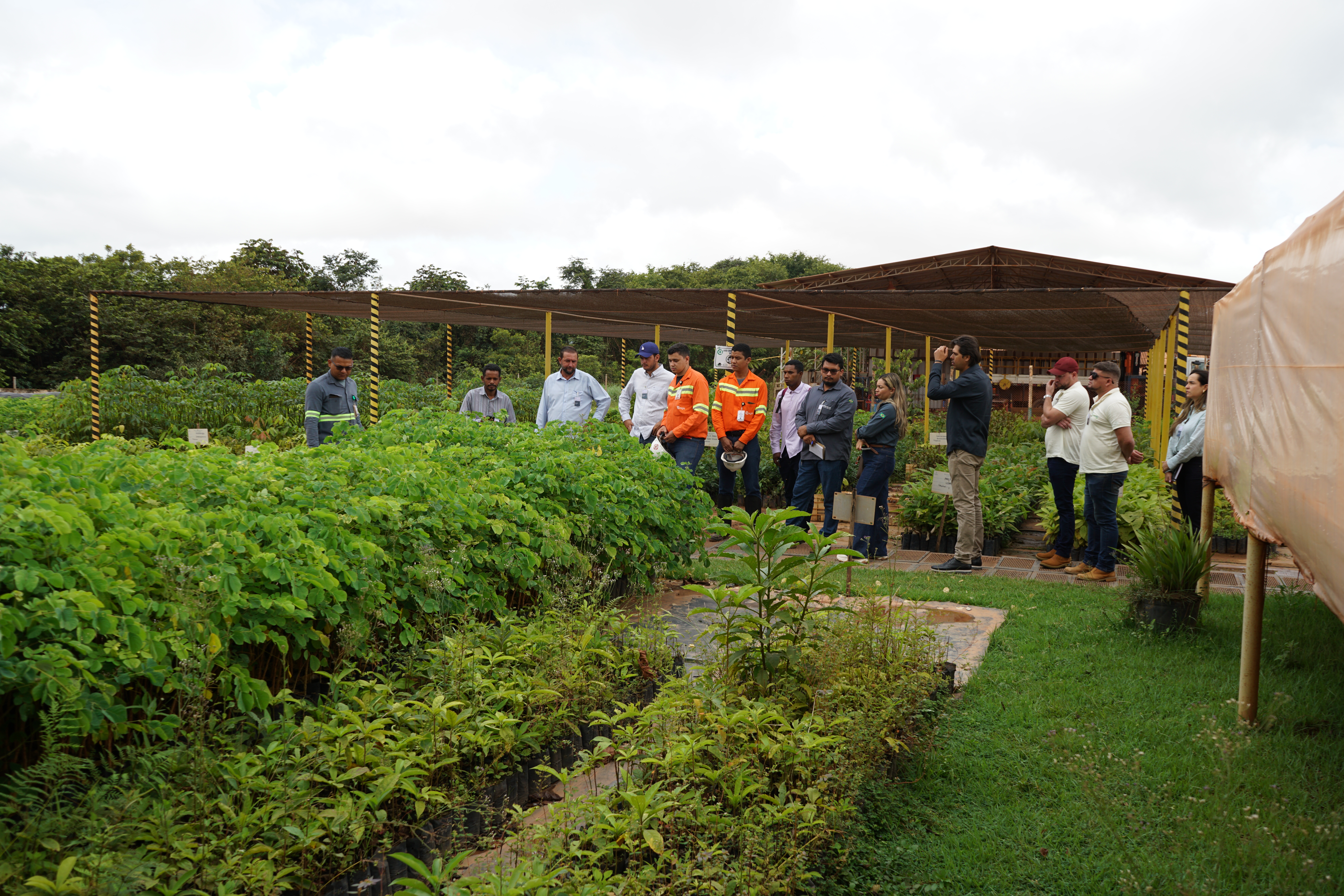 a group of people standing in a garden