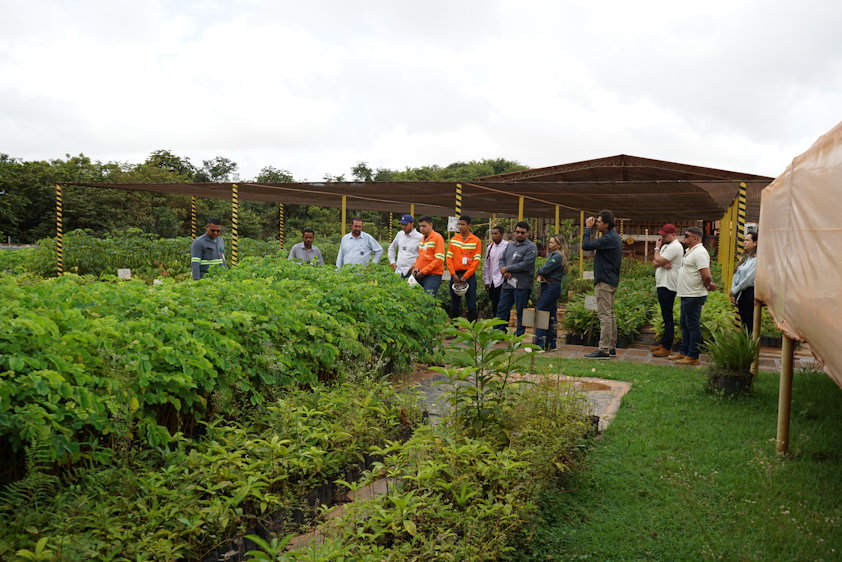 a group of people standing in a garden