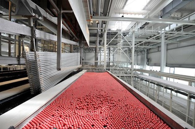 a red carpet in a large room
