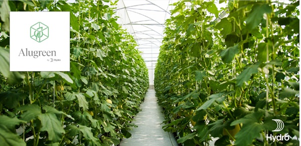a path through a plantation
