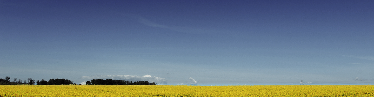 Illustration landskabsbillede