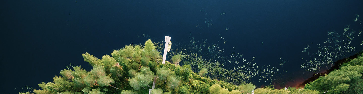 Illustration image landscape