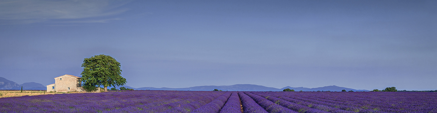 Illustration image landscape