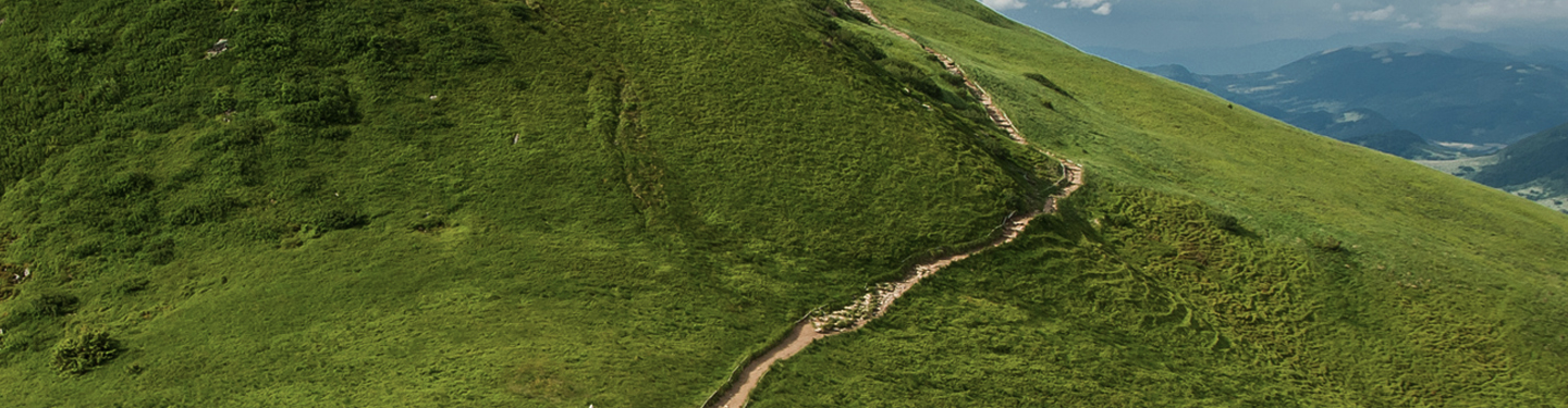 Illustration image landscape