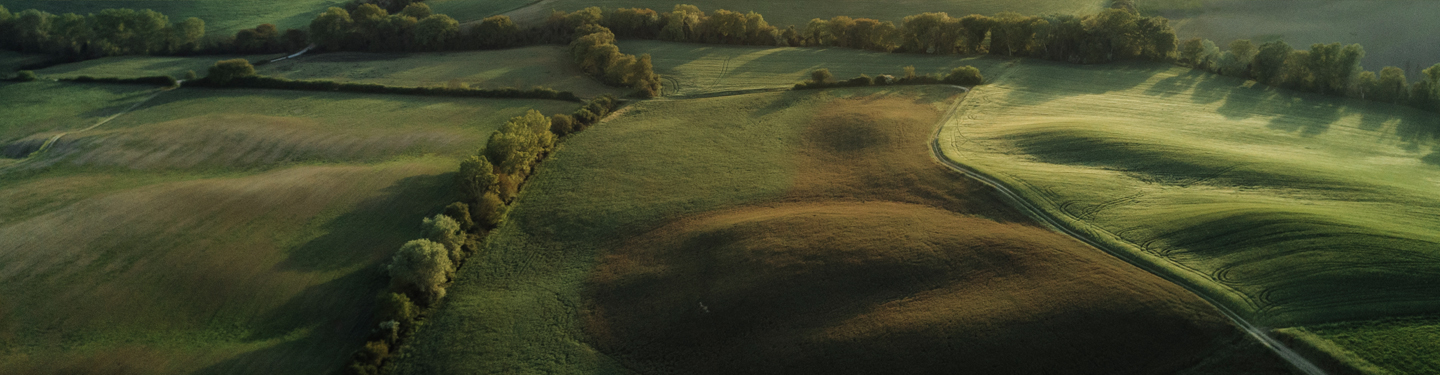 Illustration image landscape