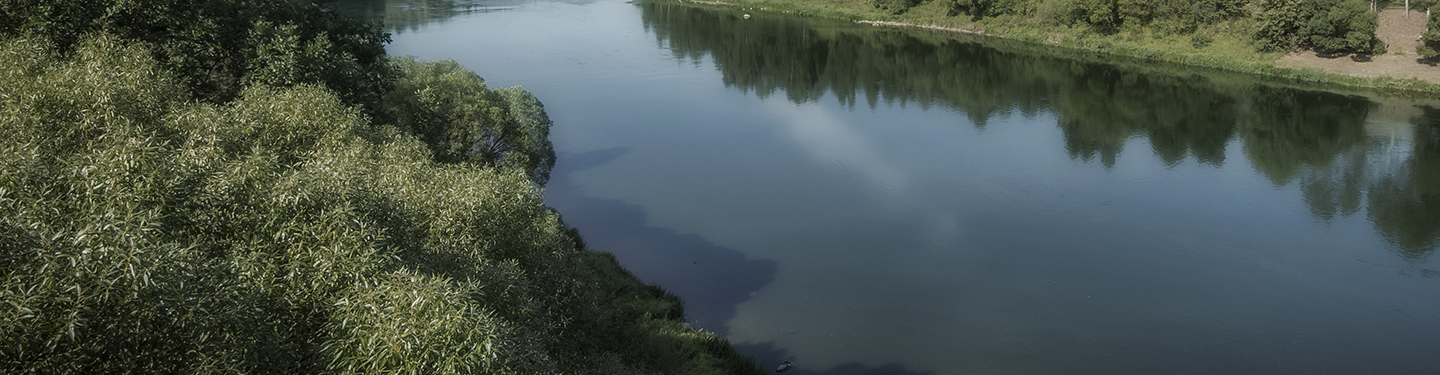 Illustration image landscape