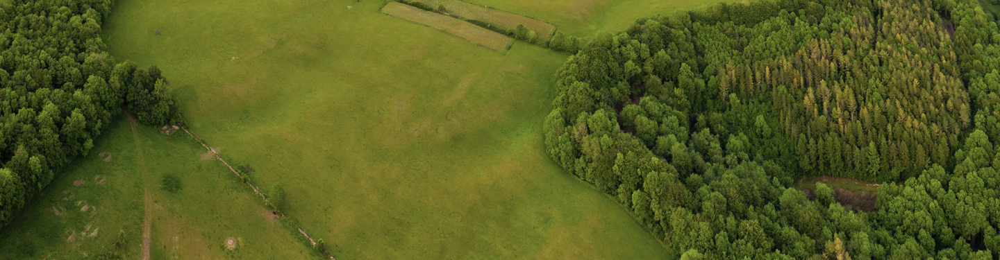 Illustration image, landscape