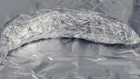 A fish wrapped in aluminium foil