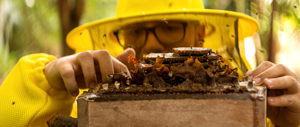 hands holding a planter