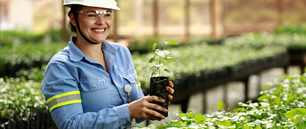 Employee in the greenhouse with plants for reforestation in Para, Brazil