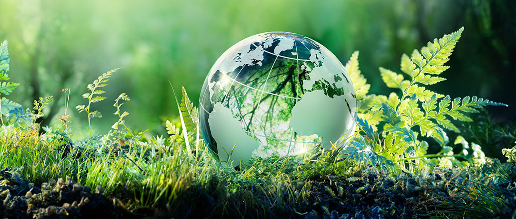 Clear globe on forest floor