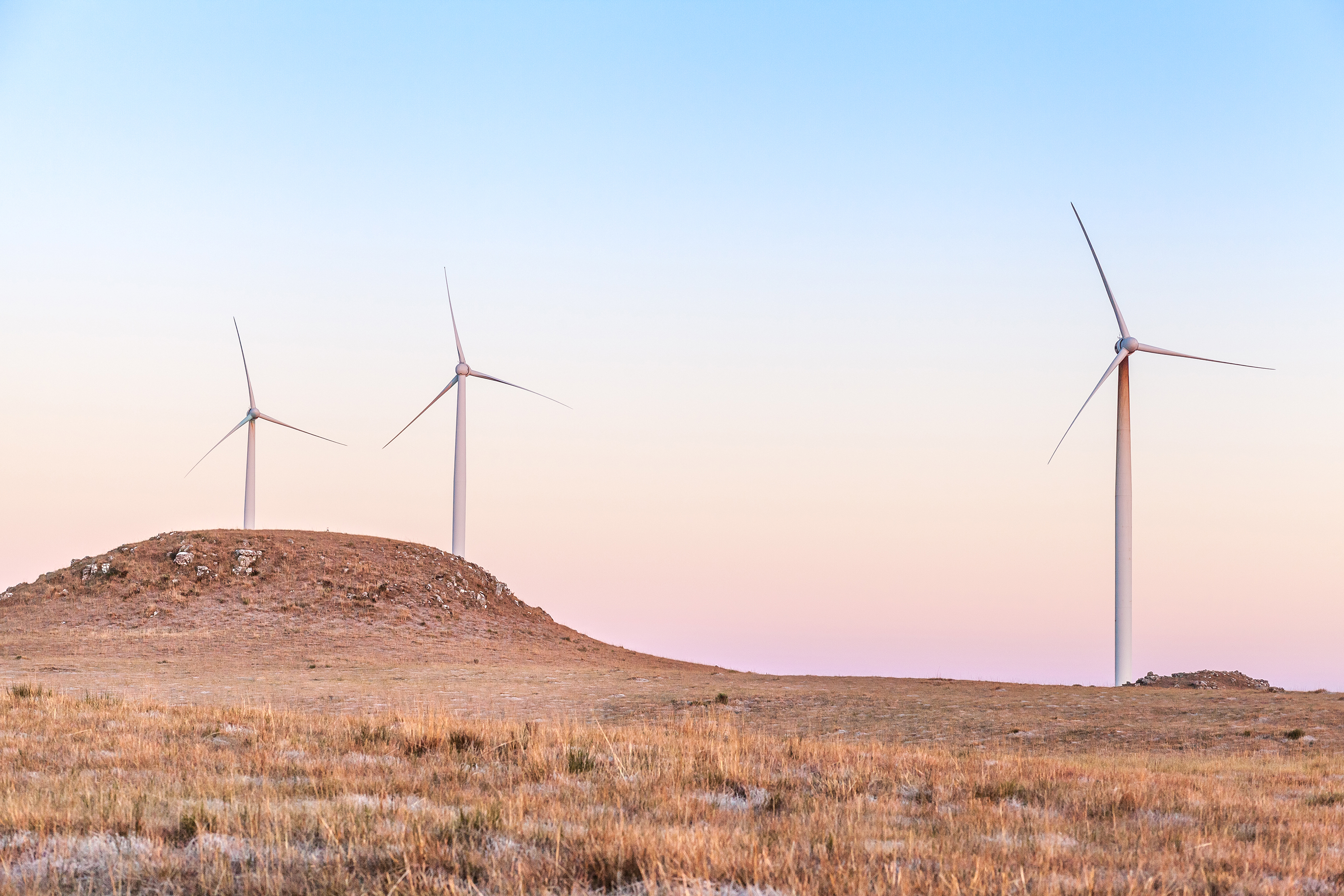 8cf4ea8c1b007c10f02b85506e4bcb6c