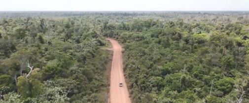 a road surrounded by trees