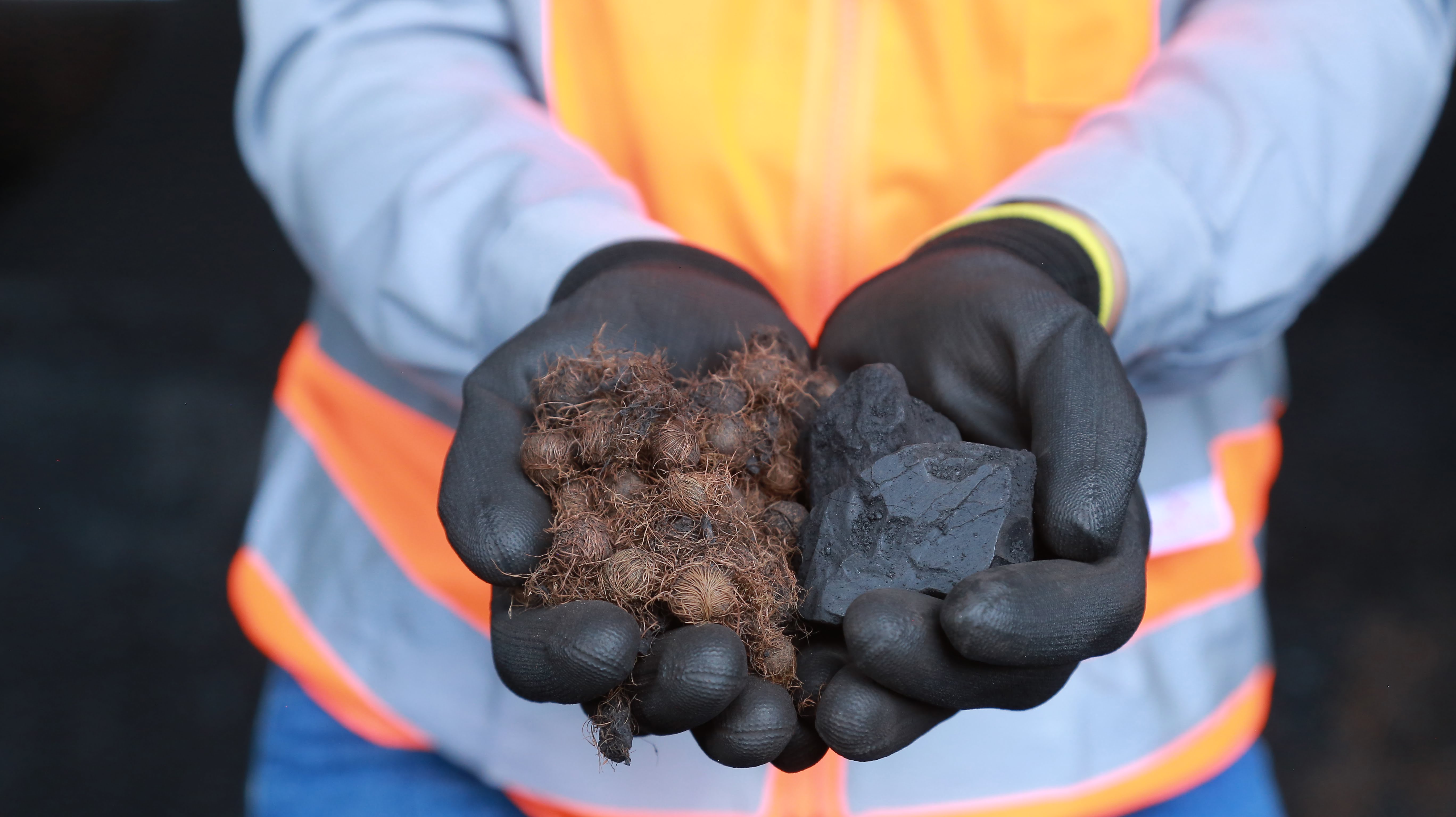 a person holding a pile of marijuana