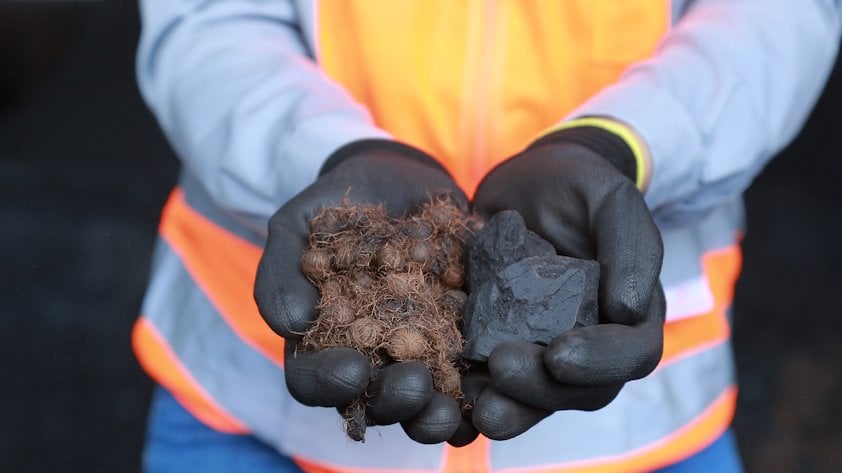 a person holding a pile of marijuana
