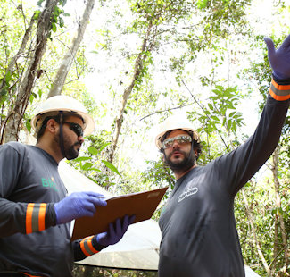 men in hard hats looking at a forest