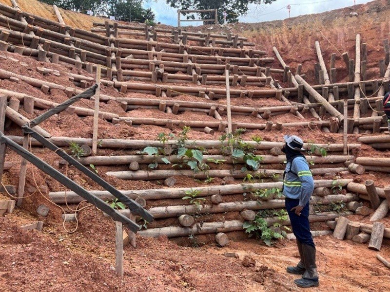 a person standing next to a pile of cut wood