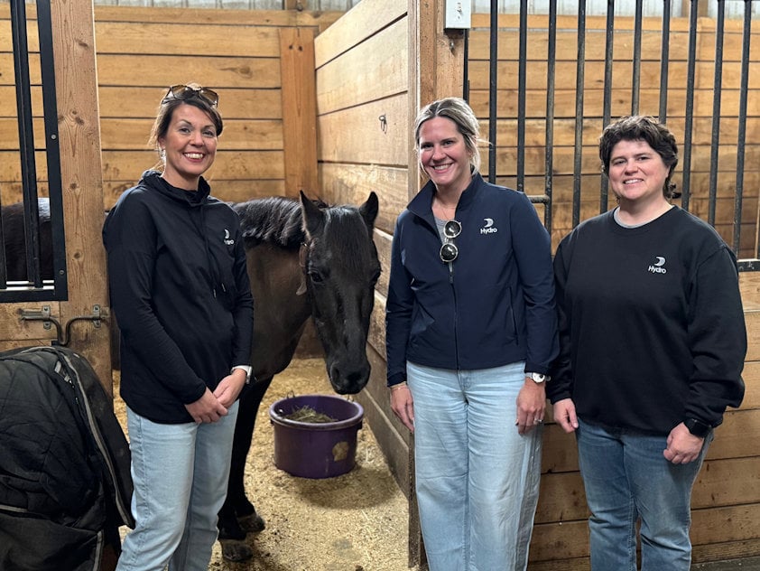 a group of people standing next to a horse in a barn