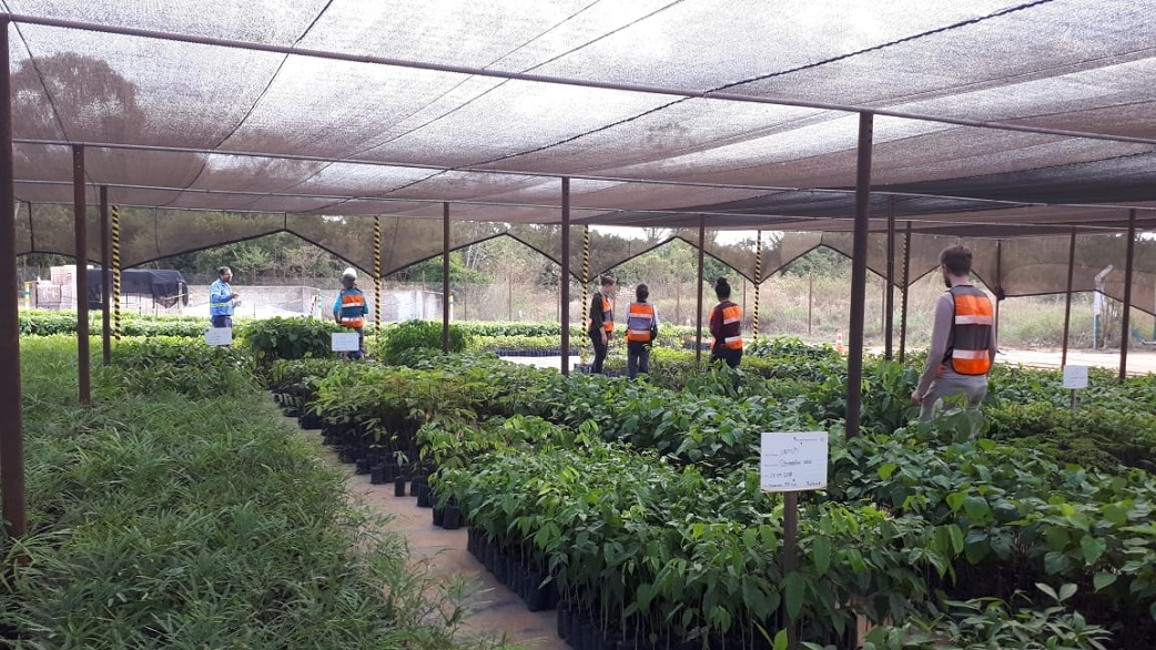 people in a greenhouse