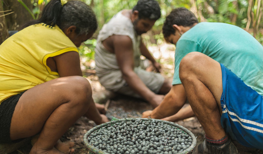 a group of people kneeling on the ground looking at a turtle