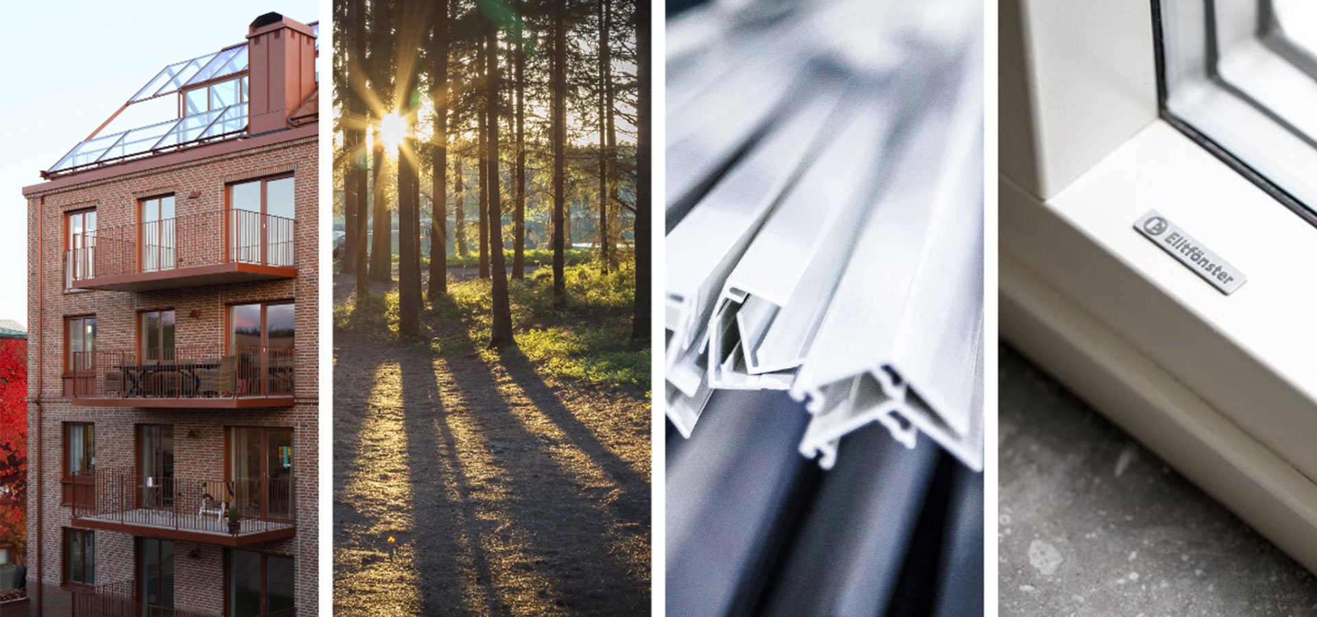 a sun shining through trees