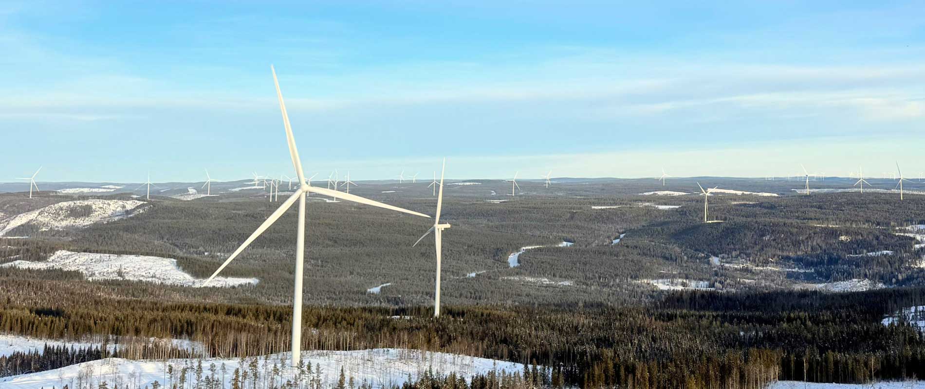 a group of wind turbines in a field