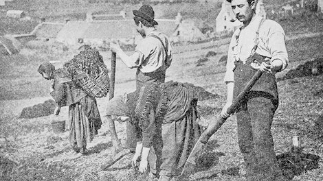 men and women working a field