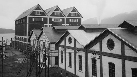 Several of the factory buildings at Notodden 1907
