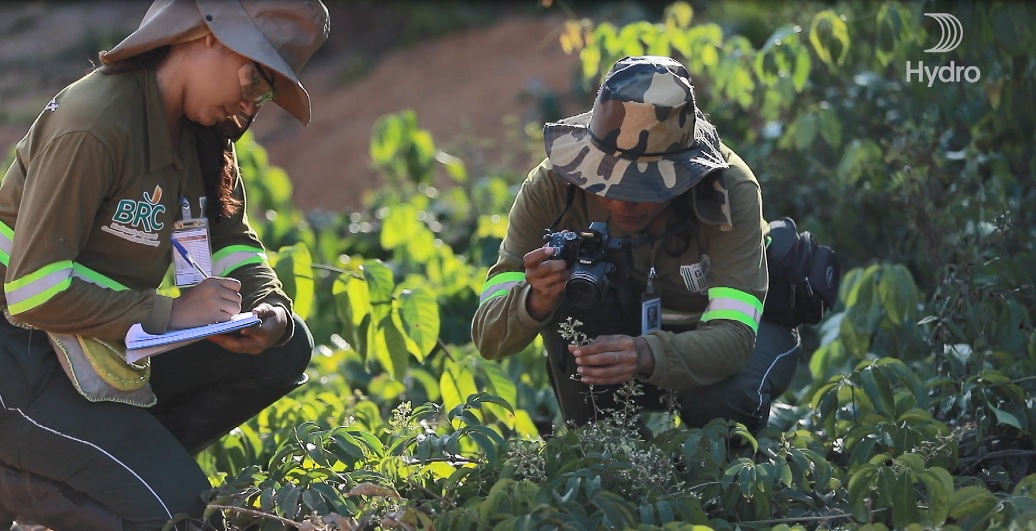 Two persons studying nature