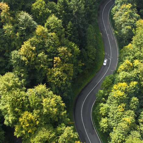 Car driving a winding road through woods