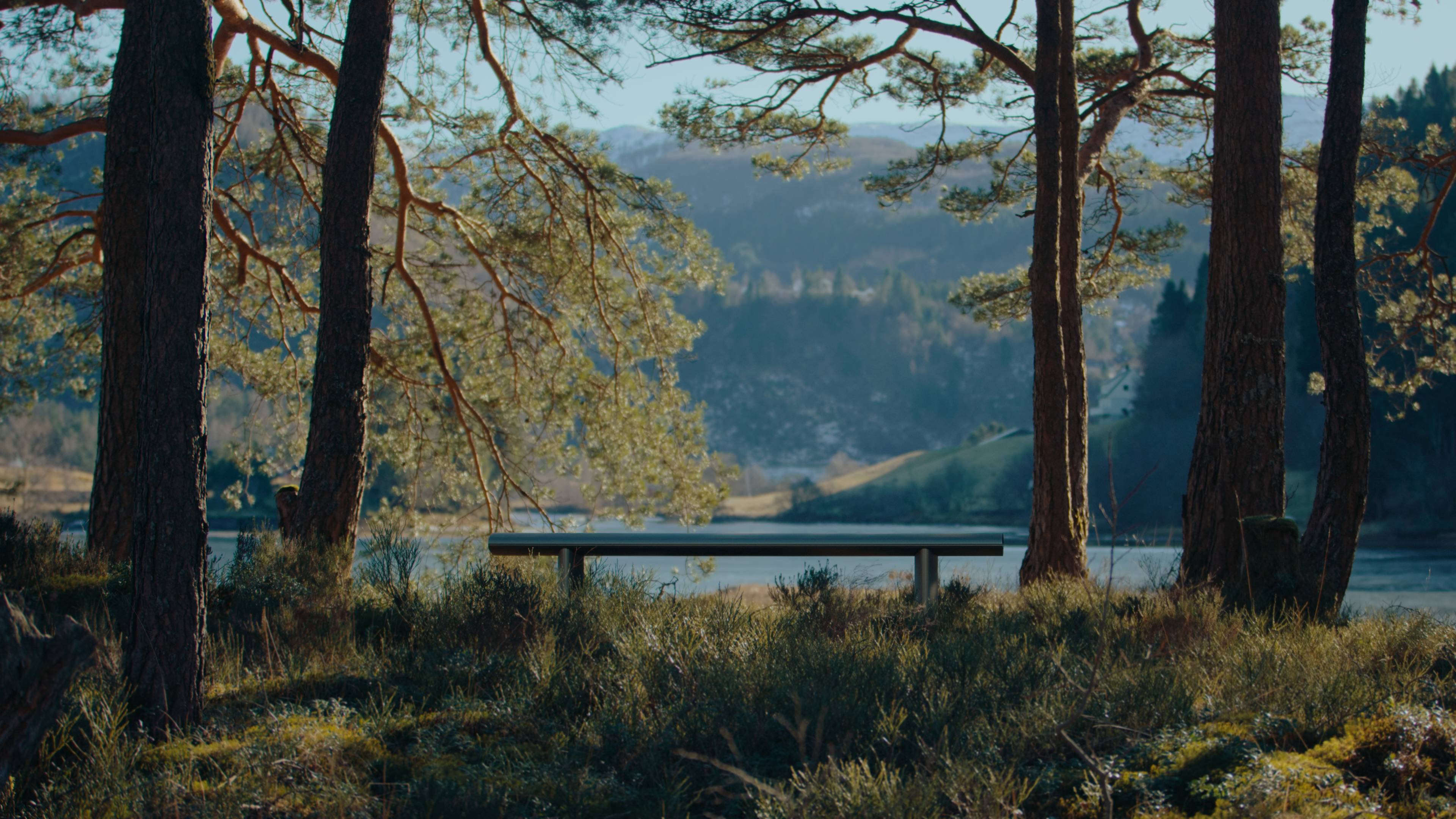 Bello! in nature.jpg