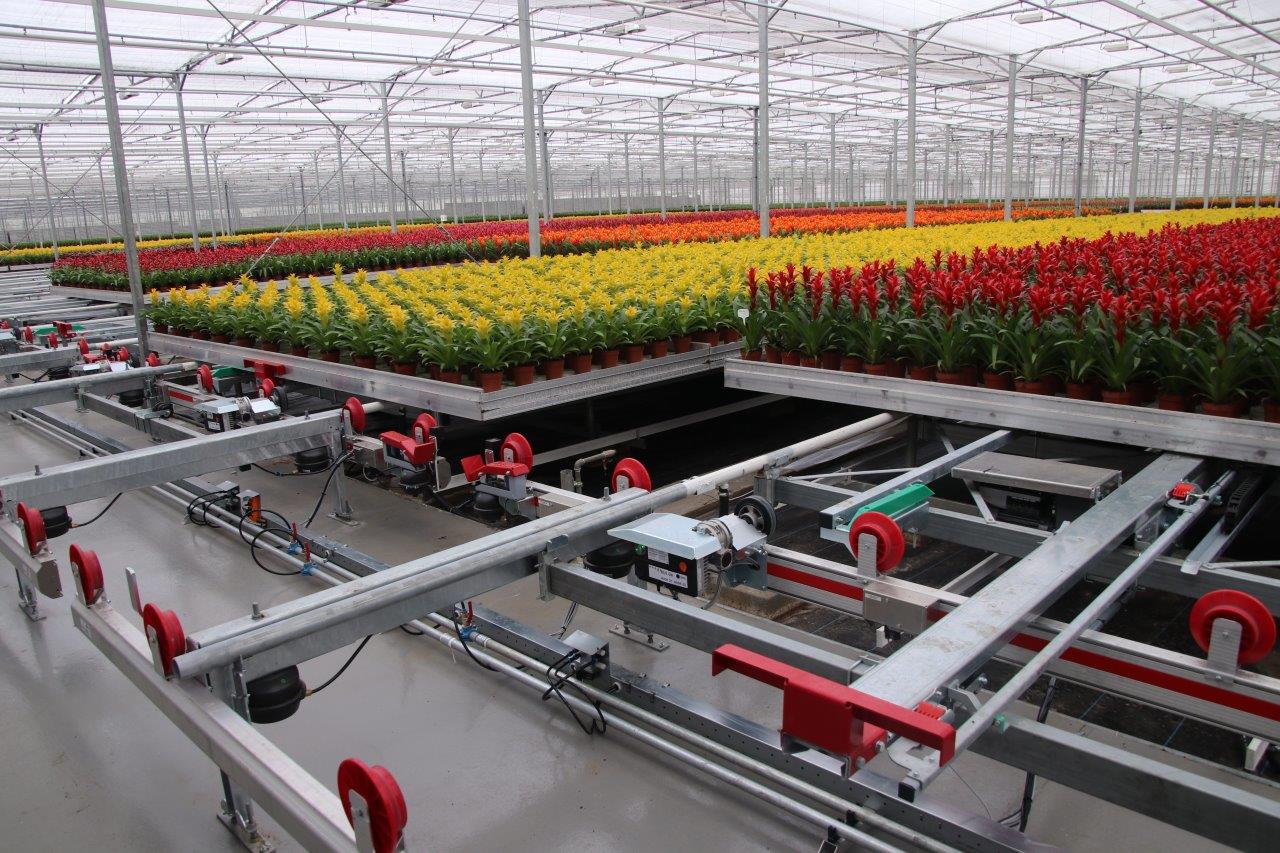 a large greenhouse with many flowers