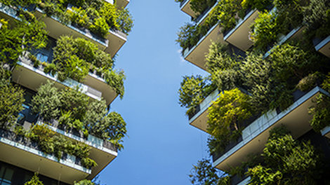 balconies with large green plants