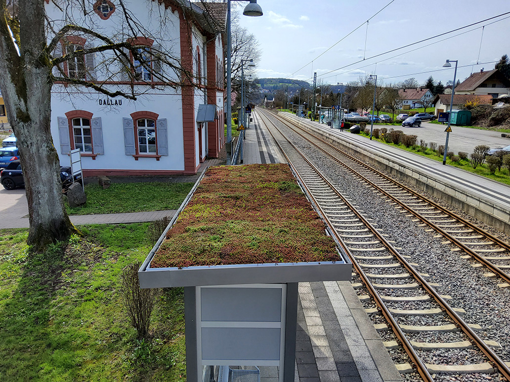 Dachbegrünung von Firma Signature Hiller