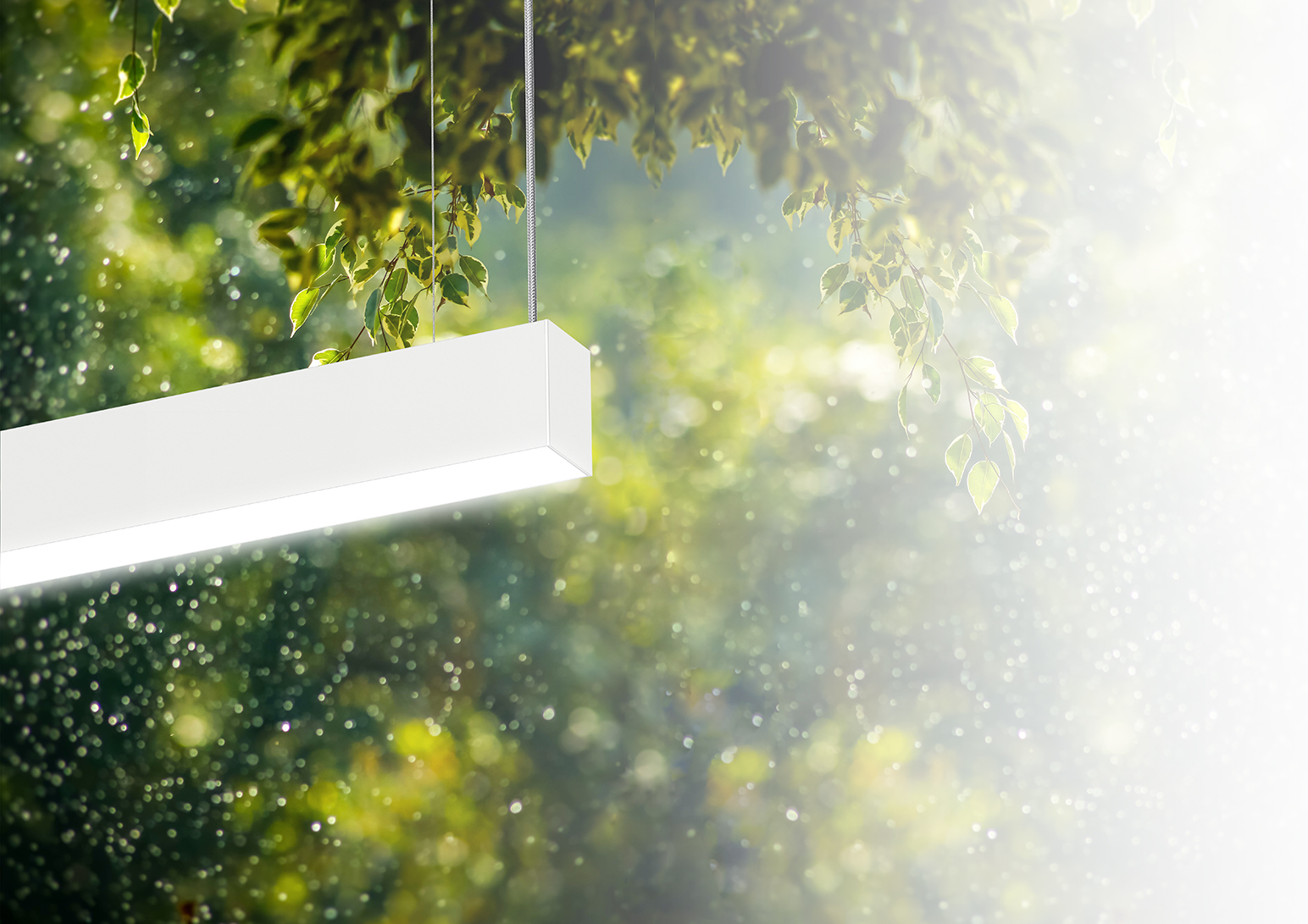 LED-Leuchte pure 3.green von PLANLICHT 