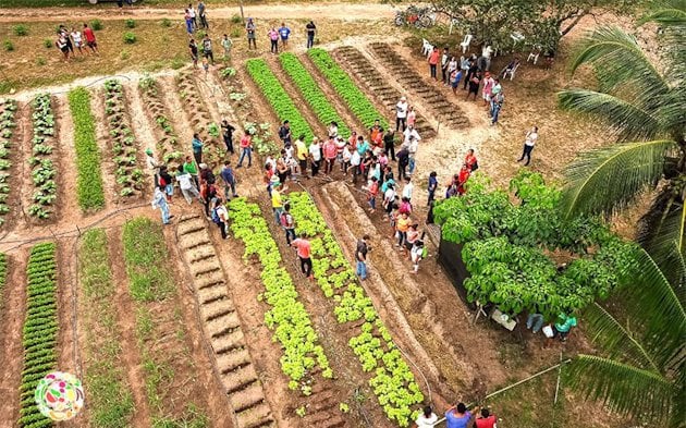 Amesa Project training that attends farmers from 24 communities in Barcarena.