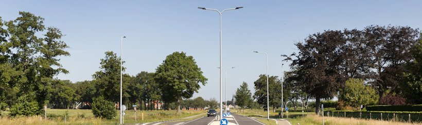 a road with trees and street lights a road with trees and street lights