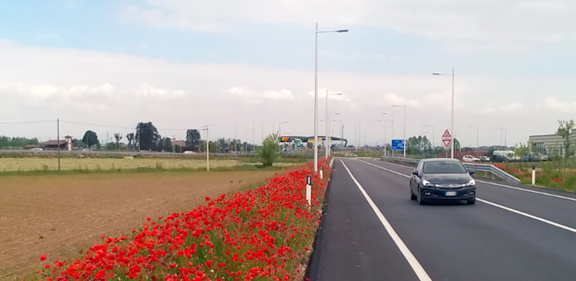 light poles next to rural road